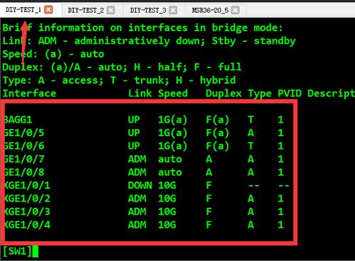 網絡工程師進階篇 解析堆疊分裂