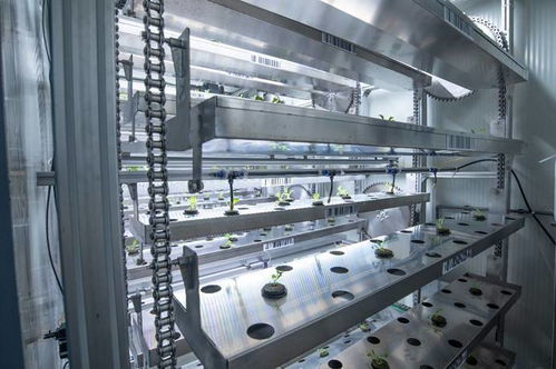 海內外精英妙改集裝箱 高科技種生菜與滅菌鍋爐的綠色革命
