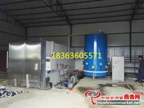 鑫正達機械 供應蘑菇 滅菌器 方形滅菌柜 電加熱滅菌設備
